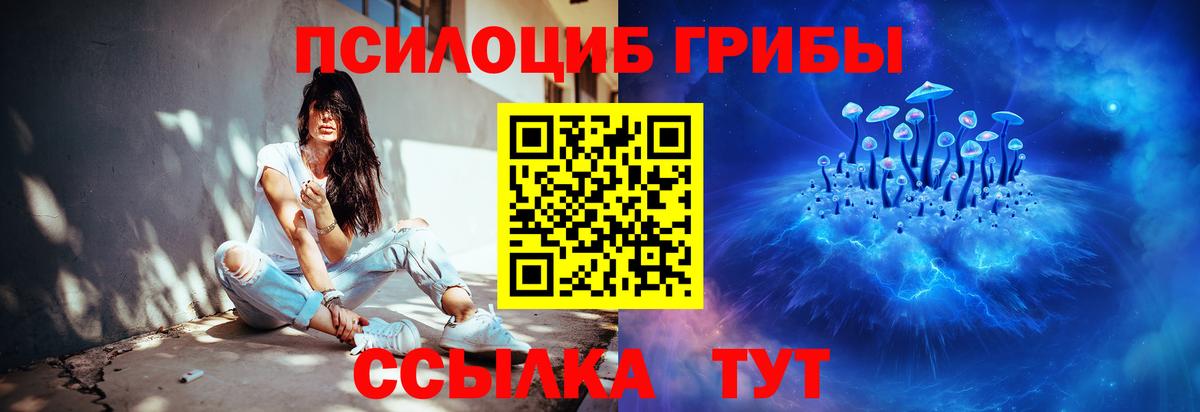 Псилоцибиновые грибы Cubensis Каспийск