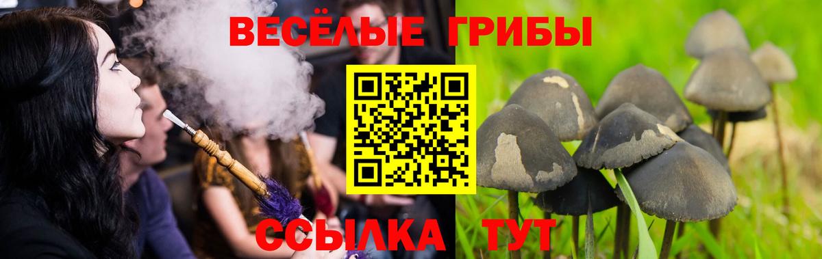 Псилоцибиновые грибы ЛСД  Псилоцибиновые грибы мицелий  наркота  Каспийск  Вход с VPN 