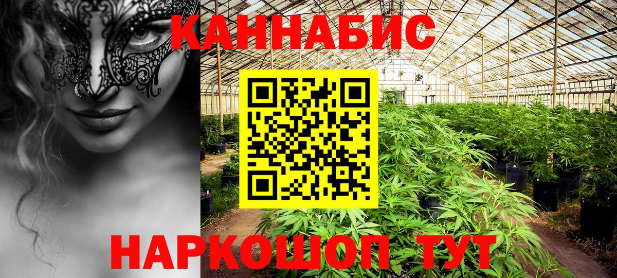 Бошки марихуана конопля Каспийск